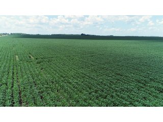 Farmland in Fulton & Marshall Counties, Indiana - LAND AUCTION - 541.3+/- ACRES IN 9 TRACTS IN FULTON & MARSHALL COUNTIES, INDIANA